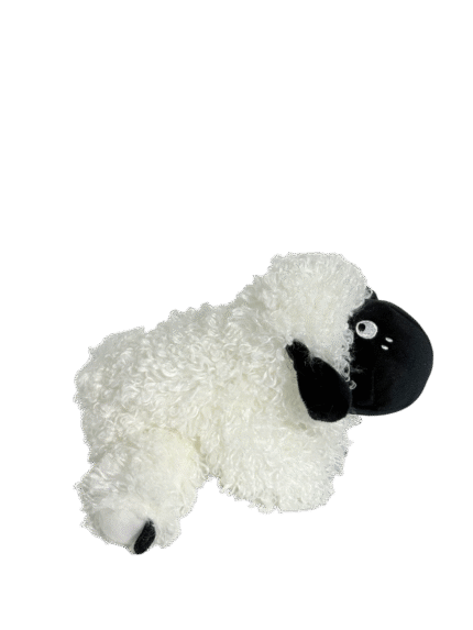 Shy Sheep | Oh Sheep