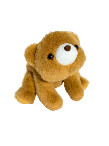 Ordinary Little Bear | Honest Bear